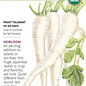 Seed Veg Radish Daikon (white) Organic - Raphanus sativus