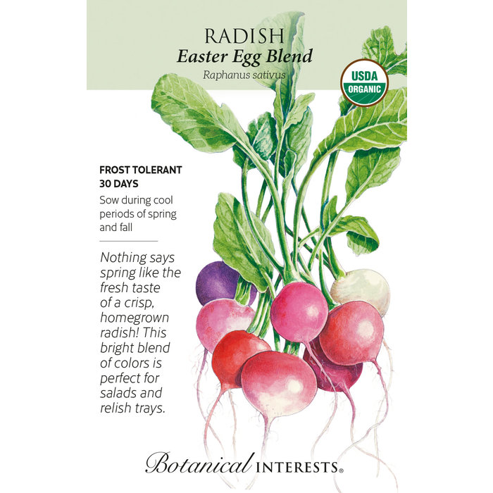 Seed Veg Radish Easer Egg Blend Organic - Raphanus sativus