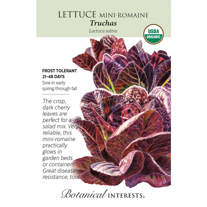 Seed Veg Lettuce Mini-Romaine Truchas RED Organic - Lactuca sativa