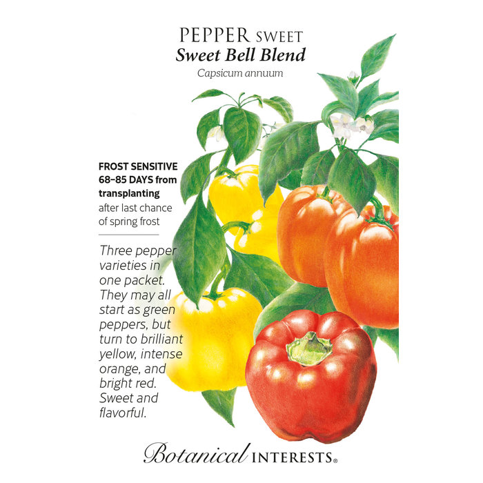 Seed Veg Pepper Sweet Bells Blend - Capsicum annuum