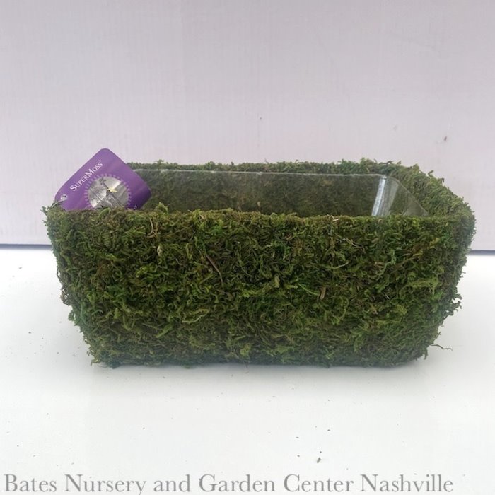 SuperMoss Shasta Rectangle Lrg 10x6x5 Deco Basket