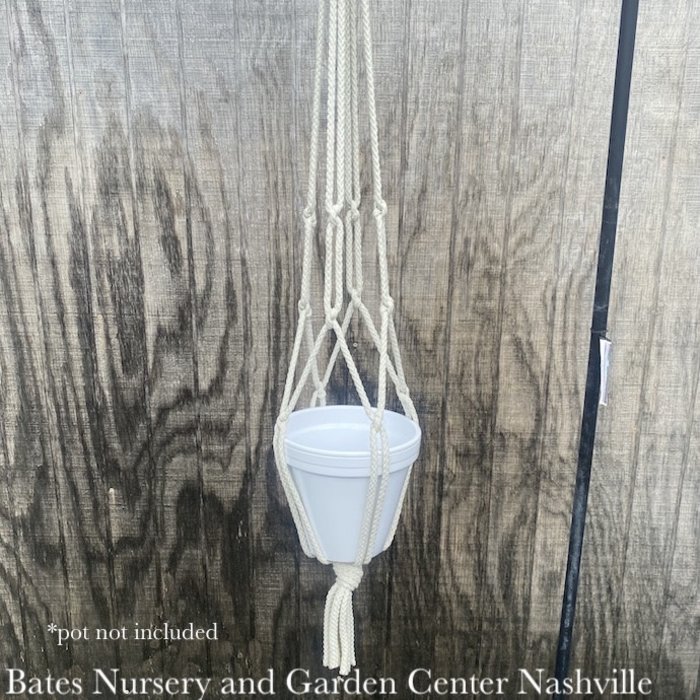 Plant Hanger 36" Macrame Asst Neutral Rope Primitive Planters