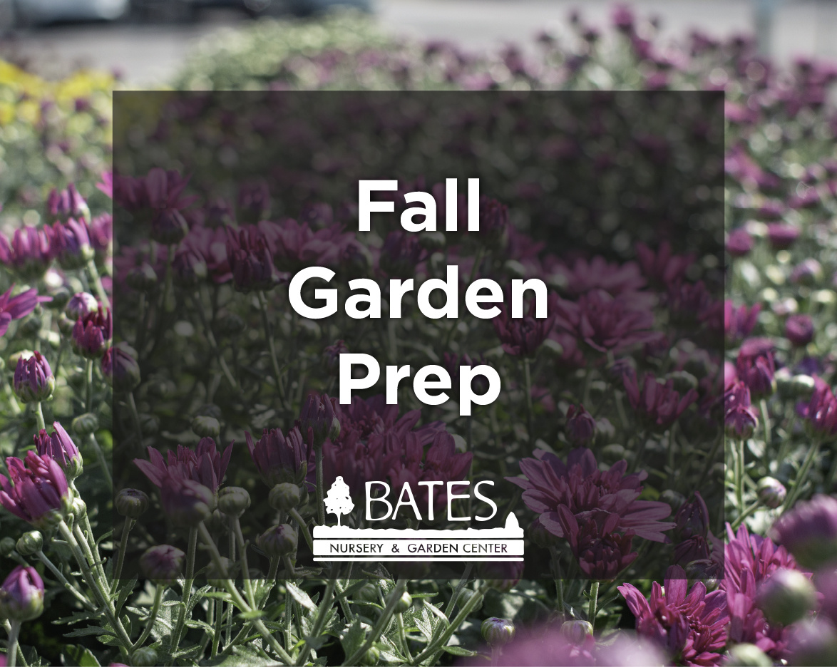 Fall Garden Prep