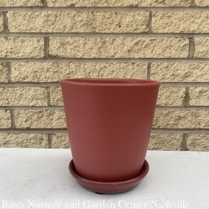 Pot Nikki Planter Taper w/att Saucer Sml 5x5 Coral