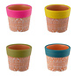 Pot Mini Bright Terra Planter 2.7x2 Asst