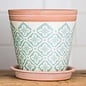 Pot Terra Graphic Quatrefoil 5x5 Asst