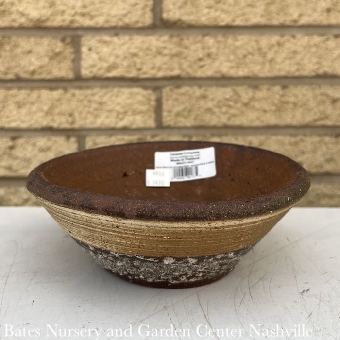 Pot Rustic Succulent Bowl 7x2.5 Black Clay Black & White Asst Special reg $14.99