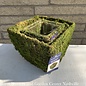 SuperMoss Woodside Square Taper Xlg 8x7 Deco Basket