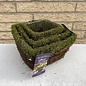 SuperMoss Ventura 2-tone Square Med 5x4 Deco Basket