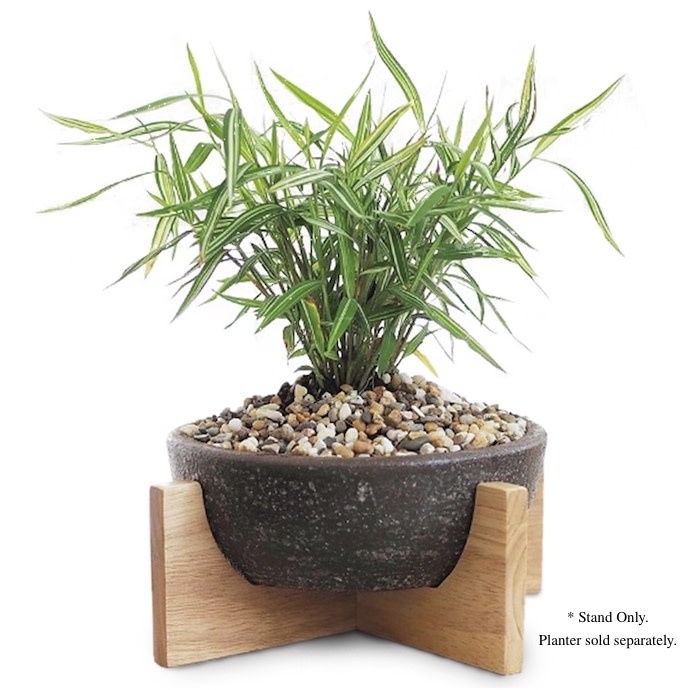 M30Plant Stands /Hooks /Brackets Plant Stand 9" for Succulent Bowl