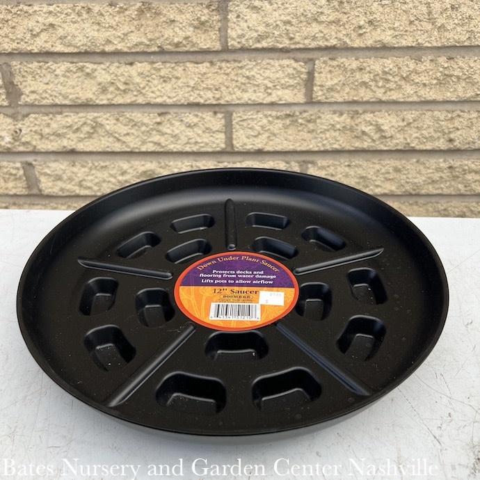 Down Under Footed Saucer 12" Black Bosmere