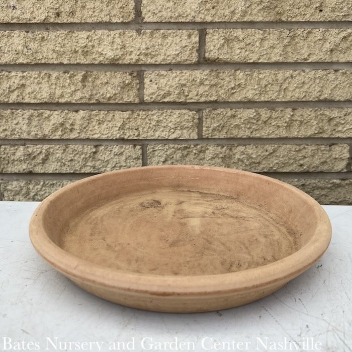 Saucer 12" Graffiato Saucer  Terracotta X