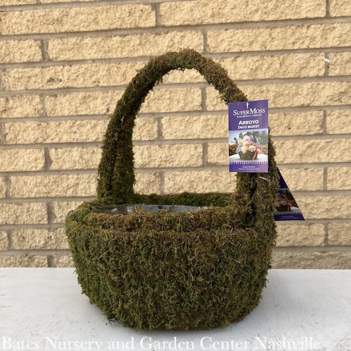 SuperMoss Arroyo w/Handle Med 11x5 Deco Basket