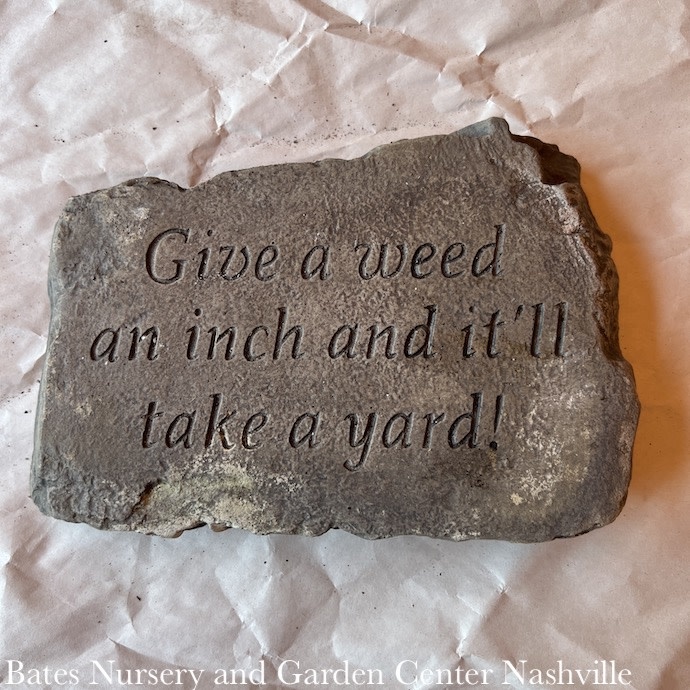 Stone/Plaque Give a Weed an Inch 10"