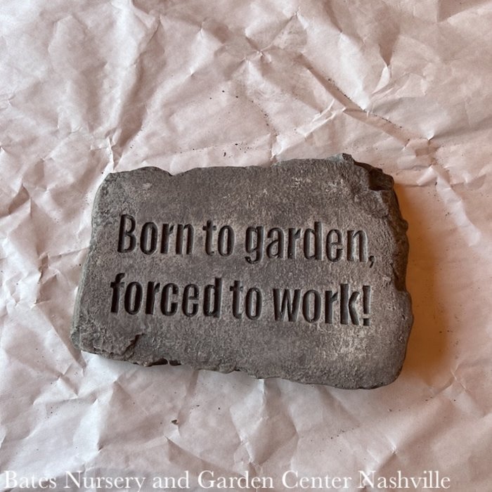 Stone/Plaque Born to Garden 10"