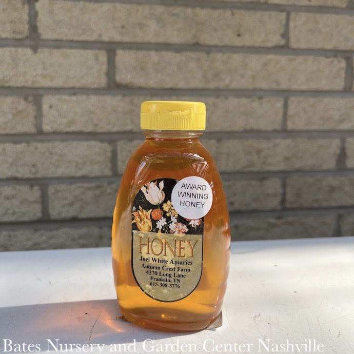 16oz Honey Native/Local Tennessee Honey Edible