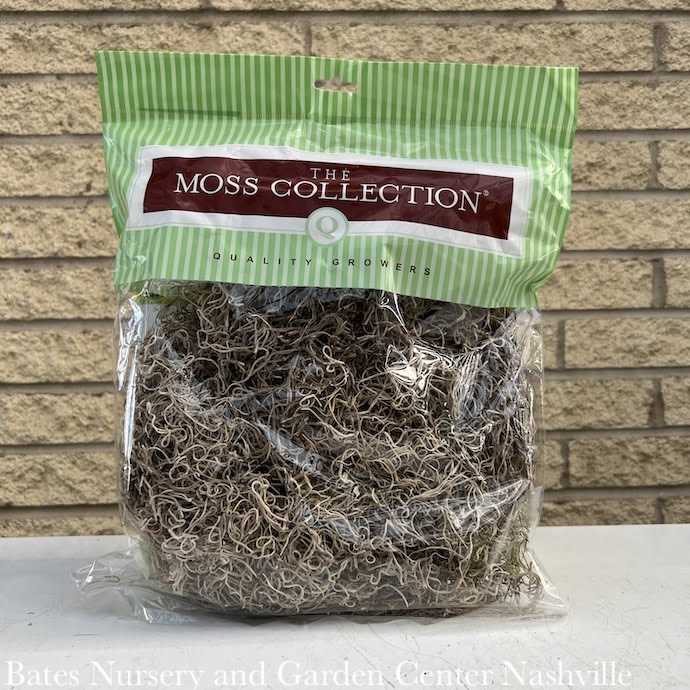 328 cu in Pkg Spanish Moss Natural Medium Quality Growers