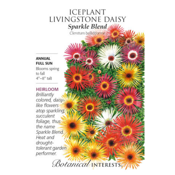 Seed Iceplant /Livingstone Daisy Sparkle Heirloom - Cleretum bellidiforme