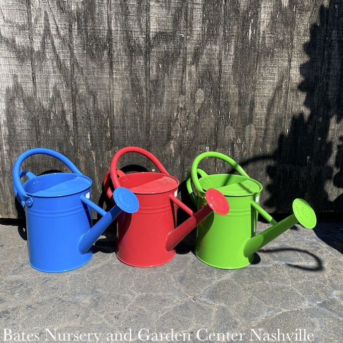 Watering Can 1Gal Traditional Primary Colors Asst Panacea