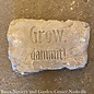 Stone/Plaque Grow Dammit 10"