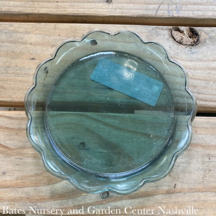 Glass Tray w/Scalloped Rim Greenish 5.75"
