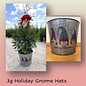 Holiday #3 Thuja x Green Giant/Pyramidal Western Arborvitae Gnome Pot