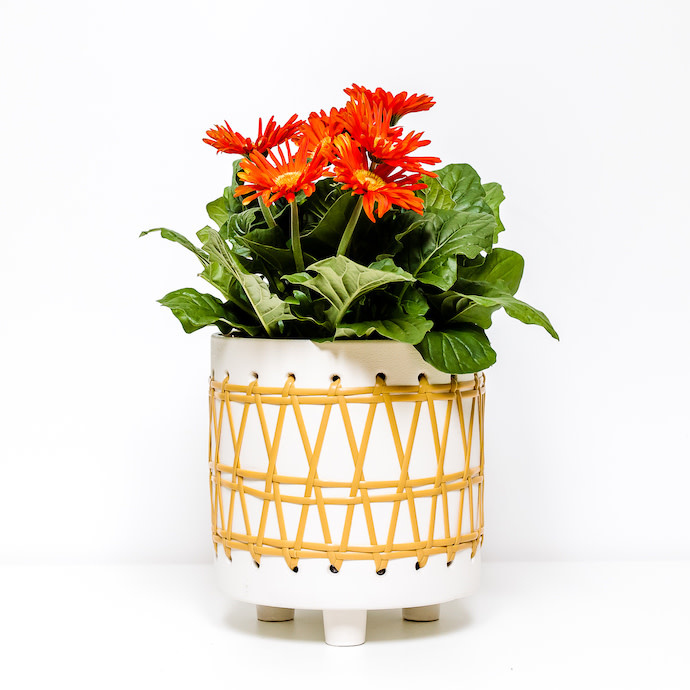 Pot Footed Cylinder w/ Rattan 6.5x7.5 White