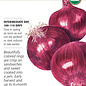 Seed Veg Onion Red Cab Hybrid Organic - Allium cepa (hybrid)