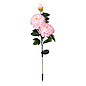 Garden Stake Peony Solar Lt. Pink Metal/Plastic/Taffeta 33"H