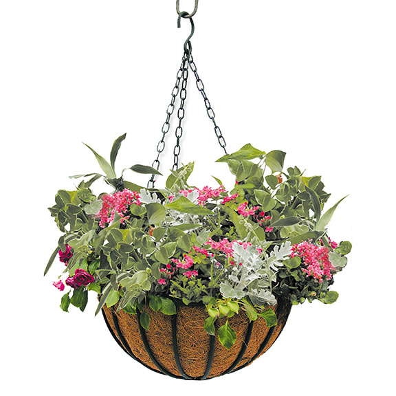 12" Liberty Hanging Basket Black Metal w/Coco Liner Border