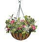 14" Liberty Hanging Basket Black Metal w/Coco Liner Border