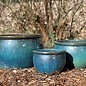 Pot Bavaria Bowl w/Rim Lrg 20x12 Asst