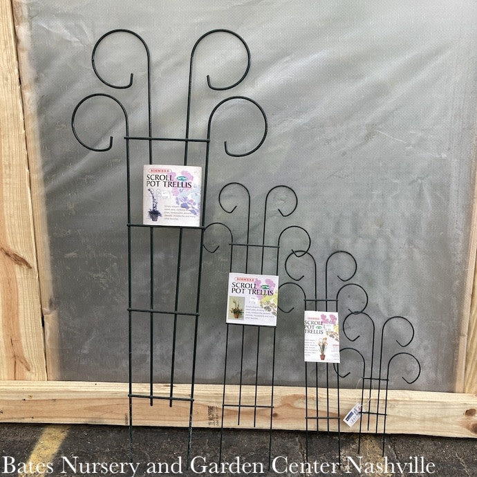 M10Arbors/Obelisks/Trellises Trellis /Pot Trellis Scroll Top 36" Tall