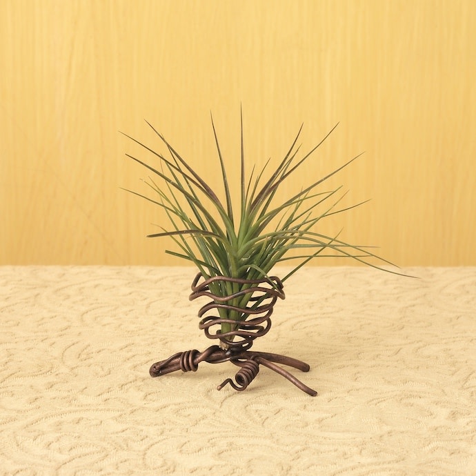 Air Plant Holder Standing Wire - Single Pod