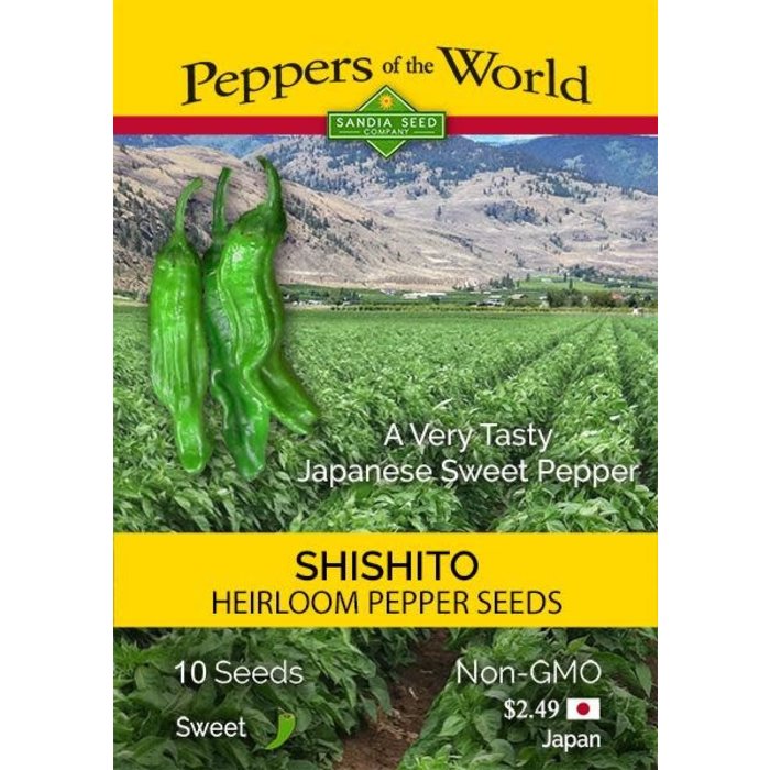 Seed Pepper Shishito Heirloom - Capsicum annuum