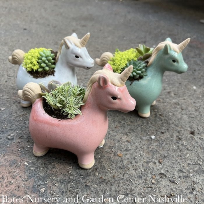 5P Stoneware Unicorn w/Succulents