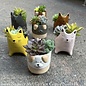 Ceramic Cat or Dog w/Succulents