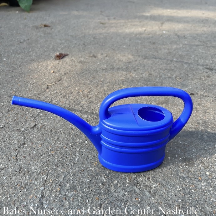 1 pt Mini Watering Can Plastic Blue
