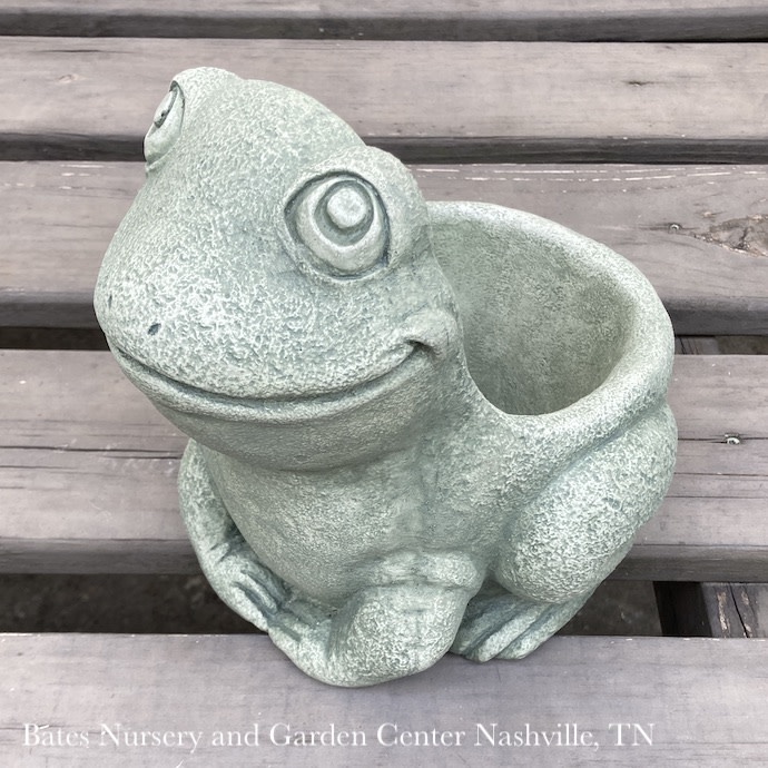 Pot Ribbit the Frog Planter 8x10 Concrete