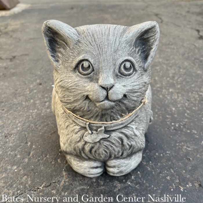 Pot Mittens the Kitten Planter 7.5x10 Concrete