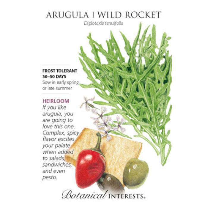 Seed Veg Arugula Wild Rocket Heirloom - Diplotaxis tenuifolia