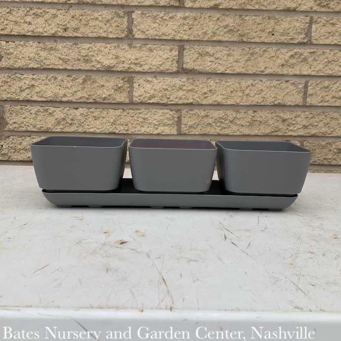 Window Box Herb Trio w/att Tray (3 -4" pots) Grey Lt Wt Novelty