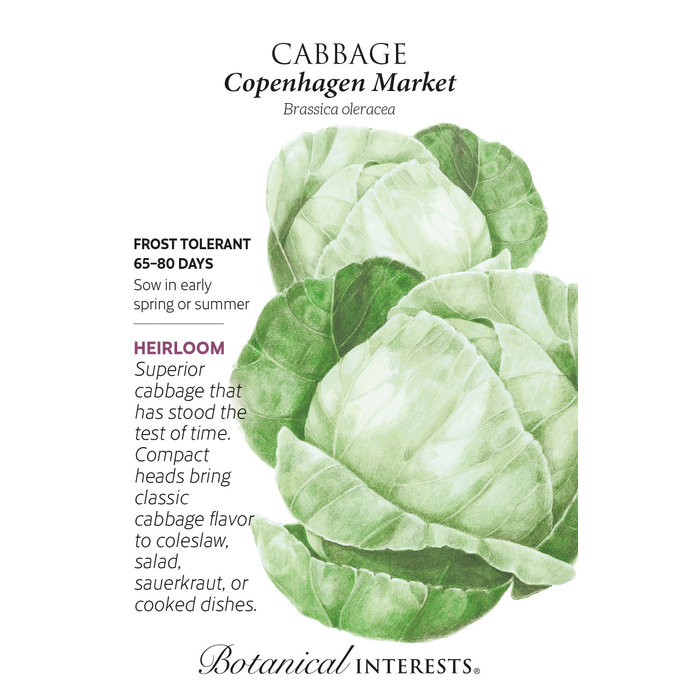 Seed Veg Cabbage Copenhagen Market Heirloom - Brassica oleracea