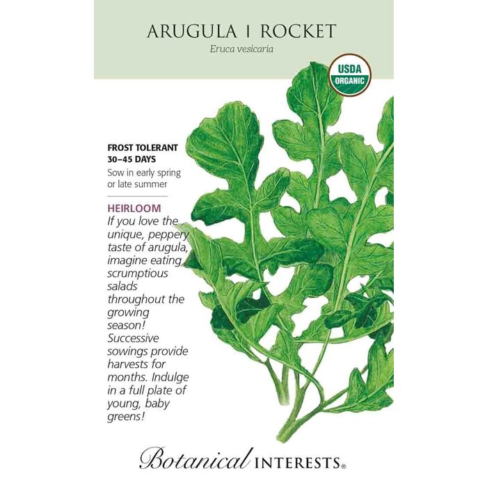 Seed Arugula Rocket Organic Heirloom - Eruca vesicaria - Lrg Pkt