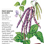 Seed Veg Bean Southern Cowpea Pinkeye - Vigna unguiculata