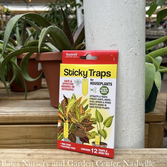 Sticky Traps for Houseplants 12/pk Non-Toxic Pesticide Free