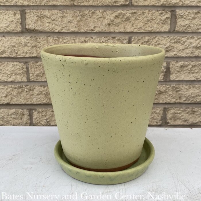 Pot Nikki Planter Taper w/att Saucer Sml 5x5 Kelp Green