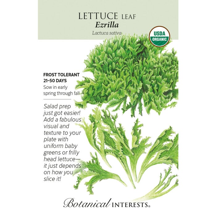Seed Veg Lettuce Eazyleaf Ezrilla Organic - Latuca sativa