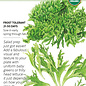 Seed Veg Lettuce Eazyleaf Ezrilla Organic - Latuca sativa