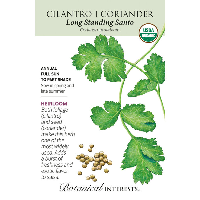 Seed Herb Cilantro/Coriander Long Standing Organic Heirloom - Coriandrum sativum